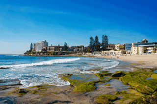 Markets Across Sydney Are Defying The Pandemic Negatives