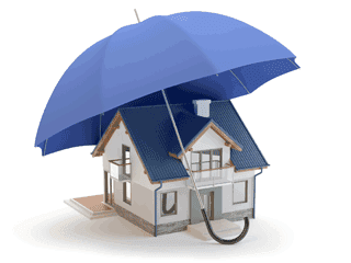 Property Strong Amid Uncertainty