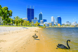 Perth Poised For Its Best Year Since The Mining Boom
