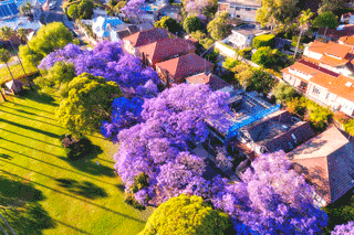 The Week In Real Estate 22 October 2022