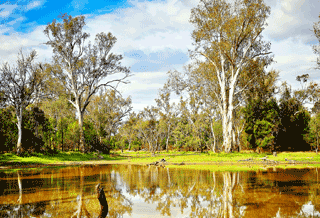 Growth Leader Queensland Presents Many Good Regional Markets