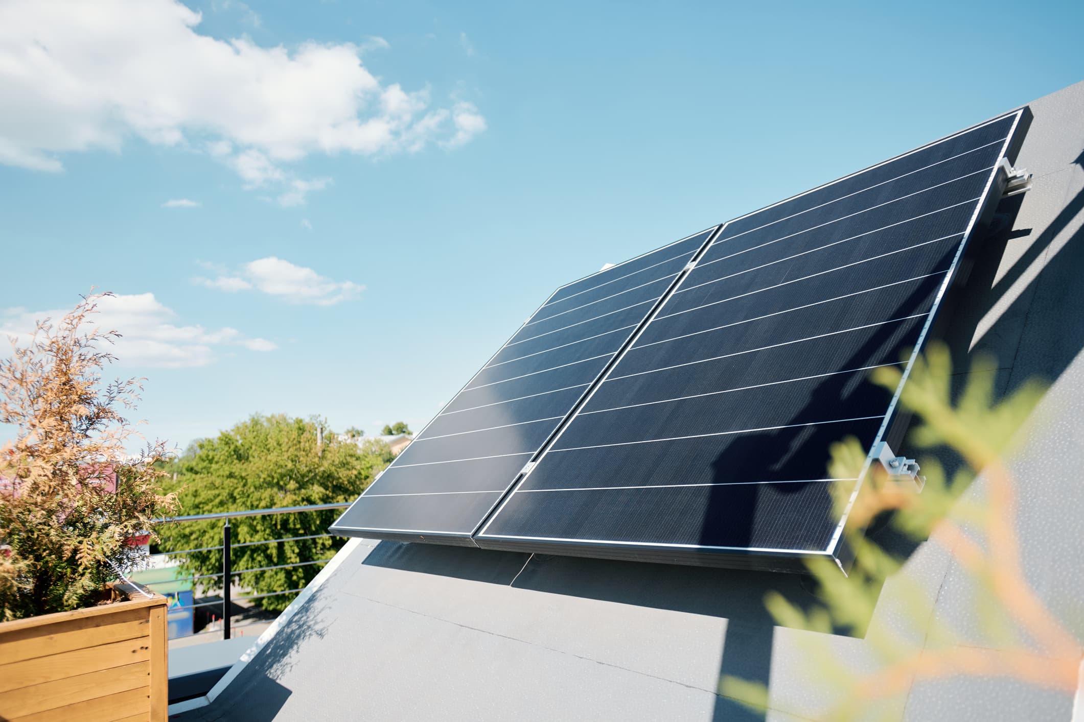 Homes Turning Green