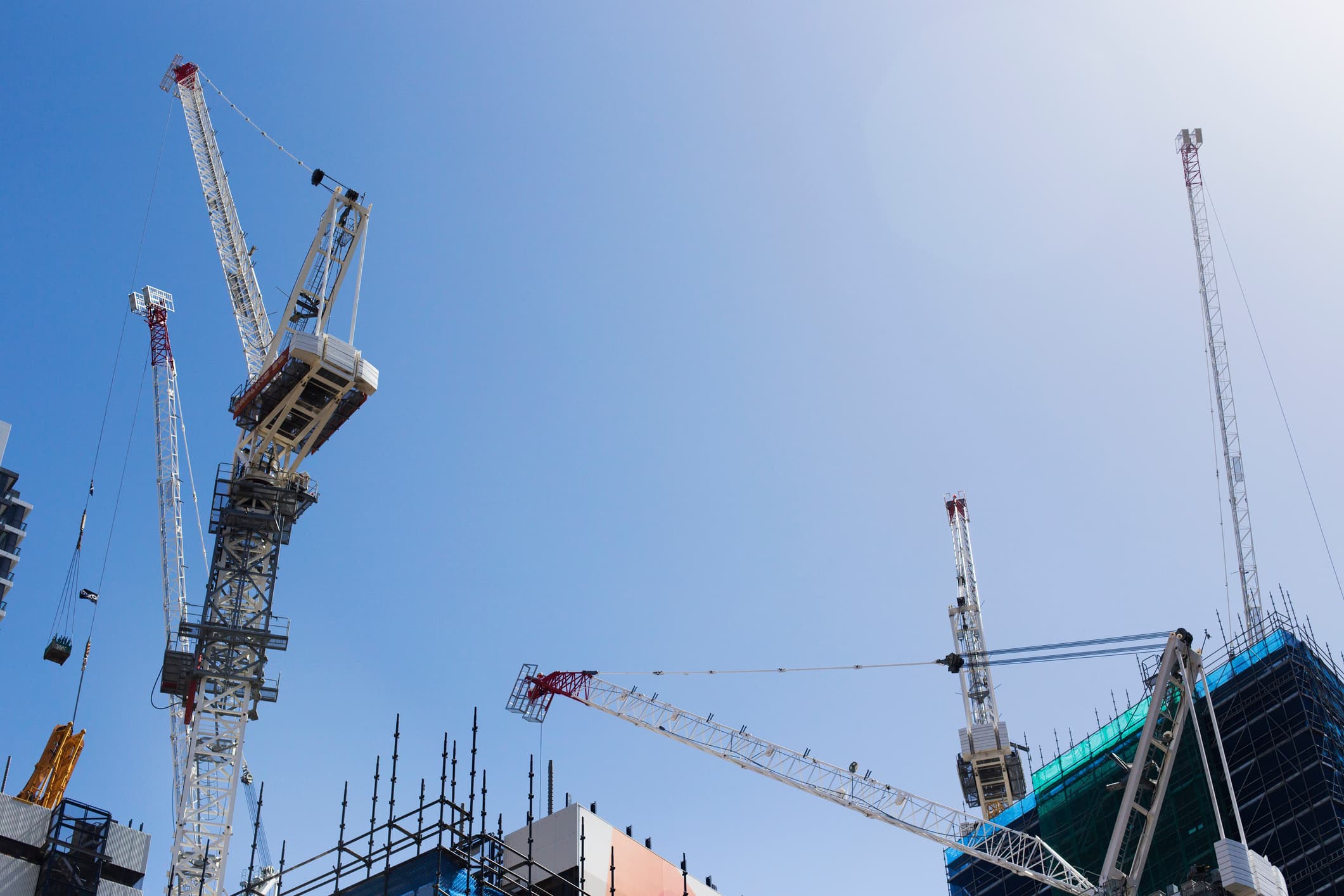 Cranes Dot Skyline