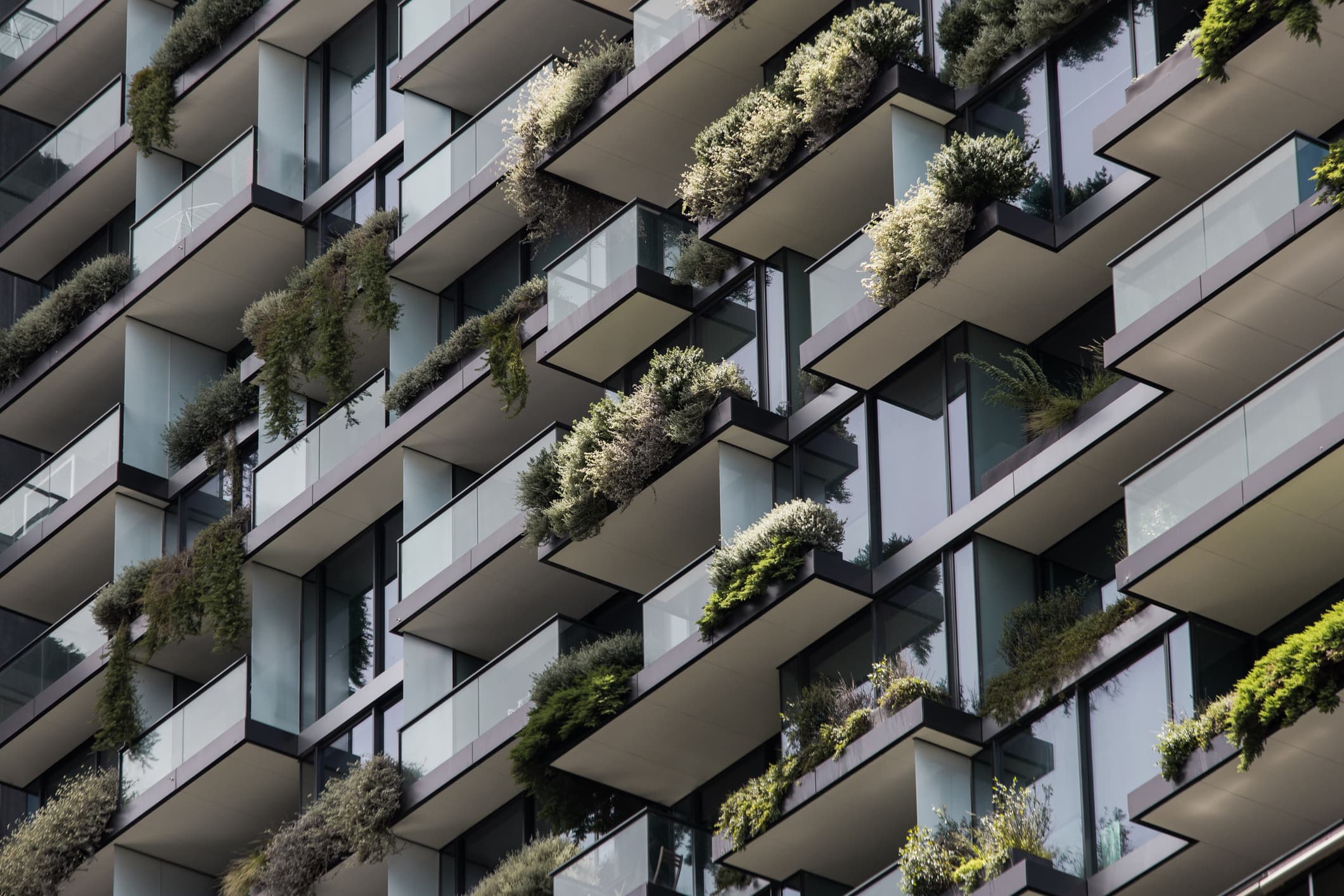 Renters Want Energy-Efficient Homes