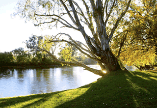 Regional Australia is the Unheralded Hero of the Australian Property Market.