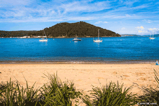Regional NSW's Extraordinary Price Performance