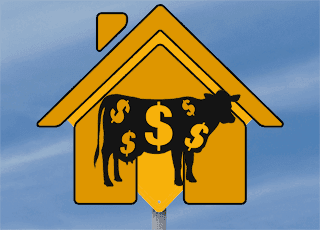 Brisbane Airbnb Move Just A Cash Grab