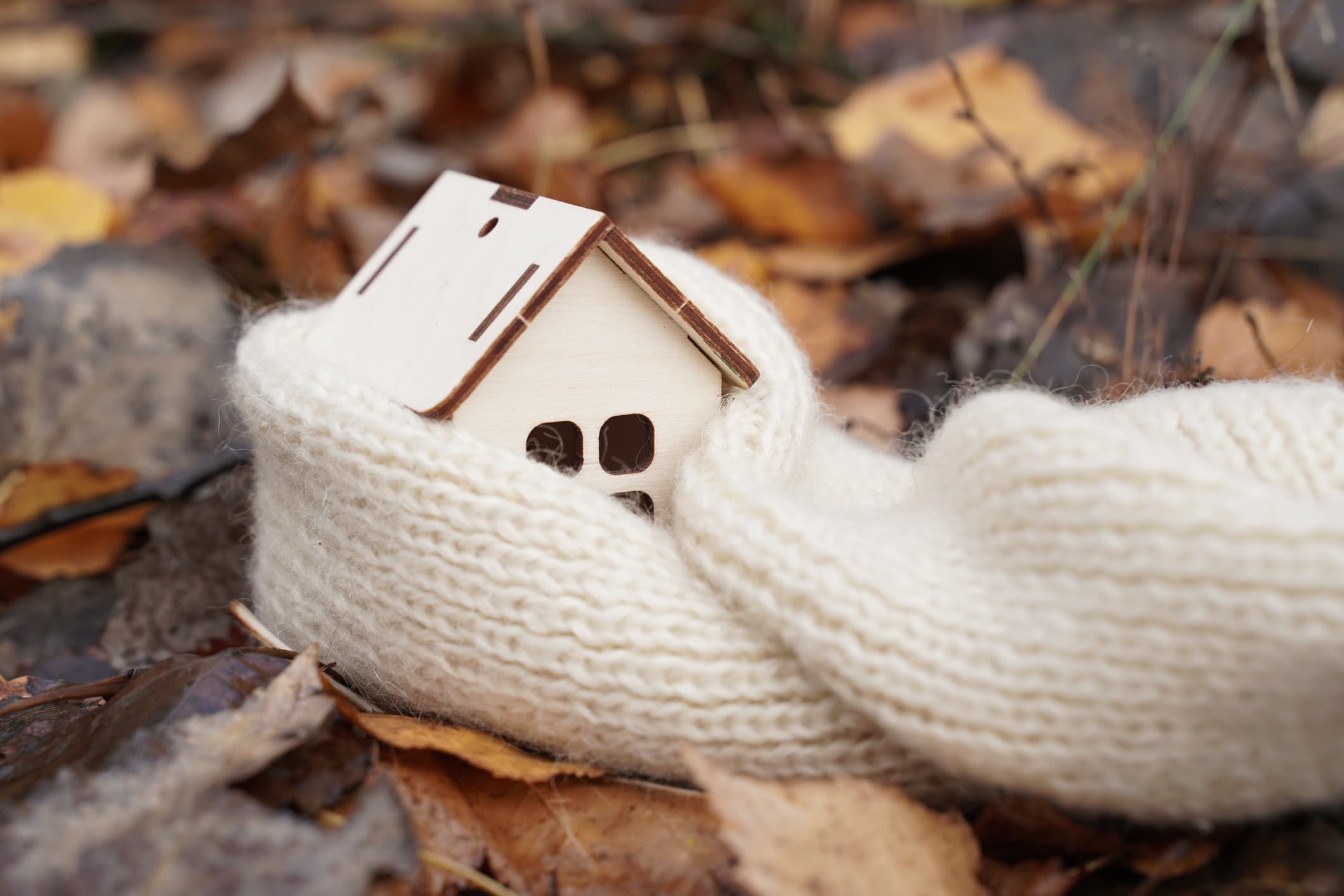 Winter Property Market Surges as Buyers Defy Seasonal Trends
