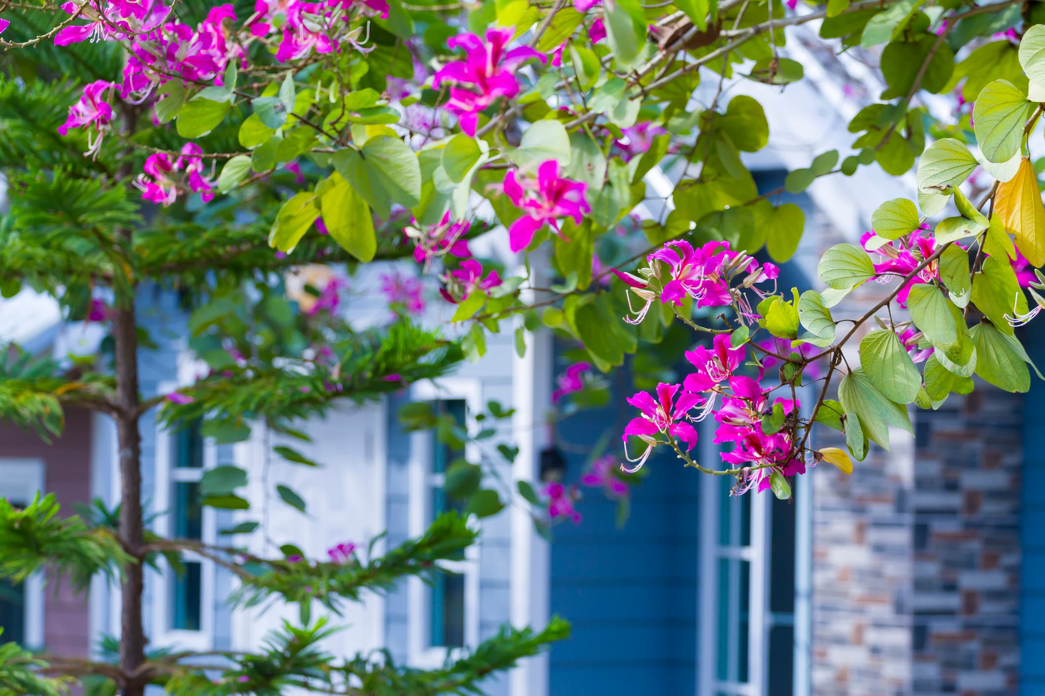Rents Ease in Spring