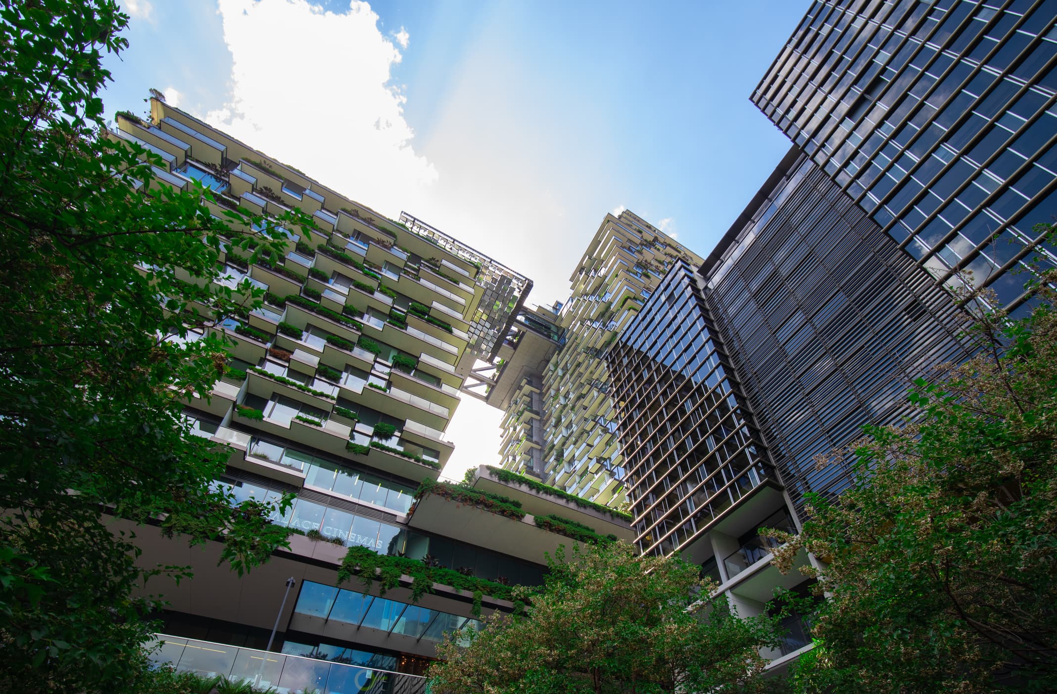 Build-To-Rent Surging