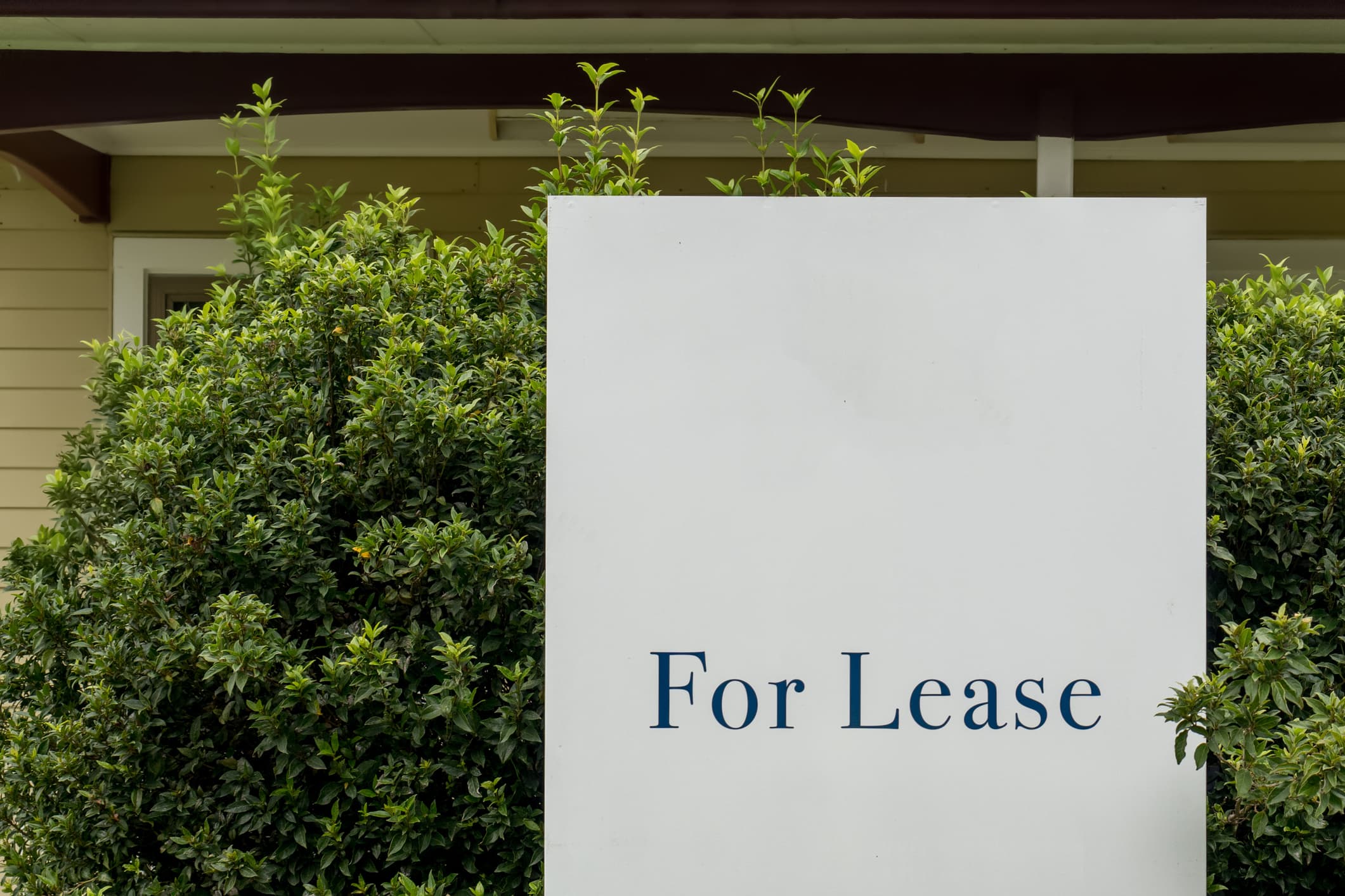 Rents Slow, Yields Solid