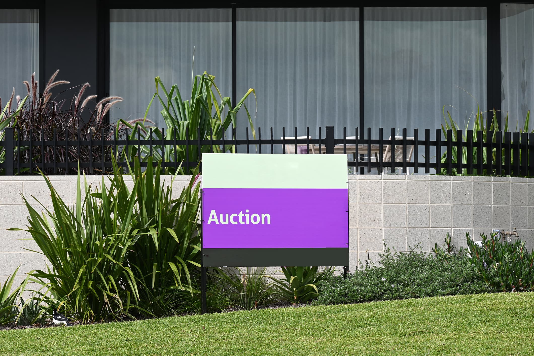 Auction Activity