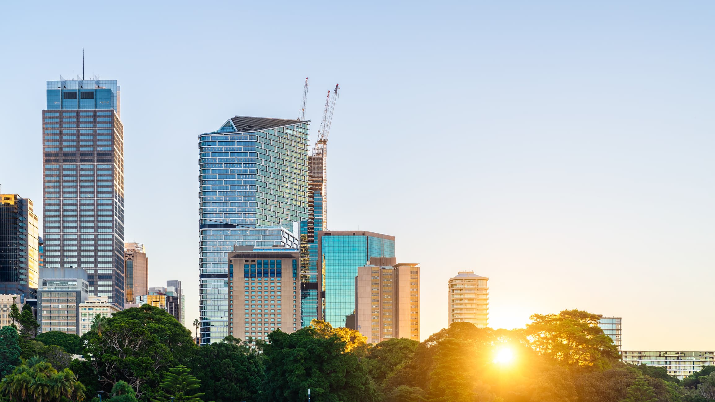 Cranes Dot Skyline