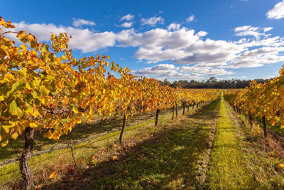 Regional Australia is the unheralded hero